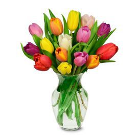  Alanya Çiçek Siparişi Vazoda 15 Renkli Lale