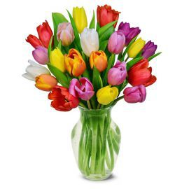  Alanya Çiçek Siparişi Vazoda 25 Renkli Lale